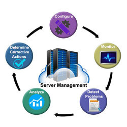 IT Server Management