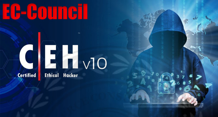 Ethical Hacking Career: A Career Guideline For Ethical Hacker